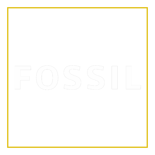 فسیل (Fossil)