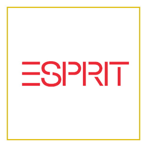 اسپریت (Spirit)