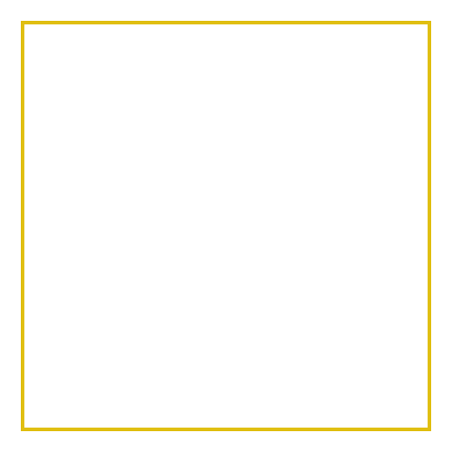 کت (Cat)